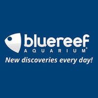Blue Reef Aquarium Hastings Vouchers