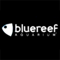 Blue Reef Aquarium Portsmouth logo