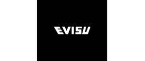 Evisu logo