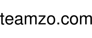 Teamzo logo